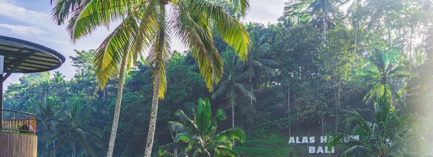 Ubud : Alas Harum, temple et cascade - visite privative
