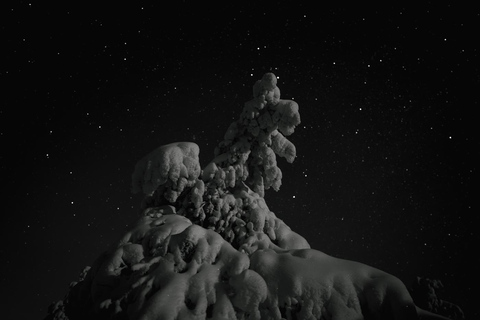 Rovaniemi: Nachtfotografie-Tour im Riisitunturi-Nationalpark