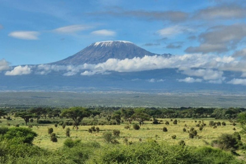 5-Day Amboseli & Tsavo East/West Safari with Salt Lick Stay
