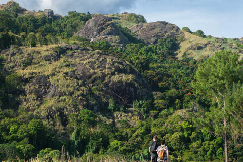 Ogród Śpiącego Olbrzyma z wycieczką do gorących źródeł Tifajek MudpoolHotele w Nadi / Port Denarau / Double Tree / Odbiór z Vuda