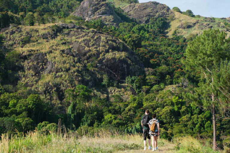 Ogród Śpiącego Olbrzyma z wycieczką do gorących źródeł Tifajek MudpoolHotele w Nadi / Port Denarau / Double Tree / Odbiór z Vuda