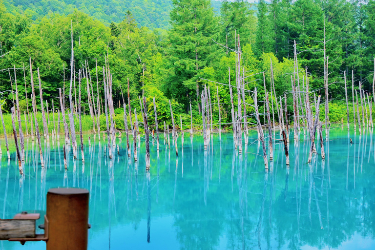 Hokkaido Asahiyama Zoo Tour with Melon Buffet Option Sapporo Tokyu REI Hotel Departure (With Lunch&Melon Buffet)