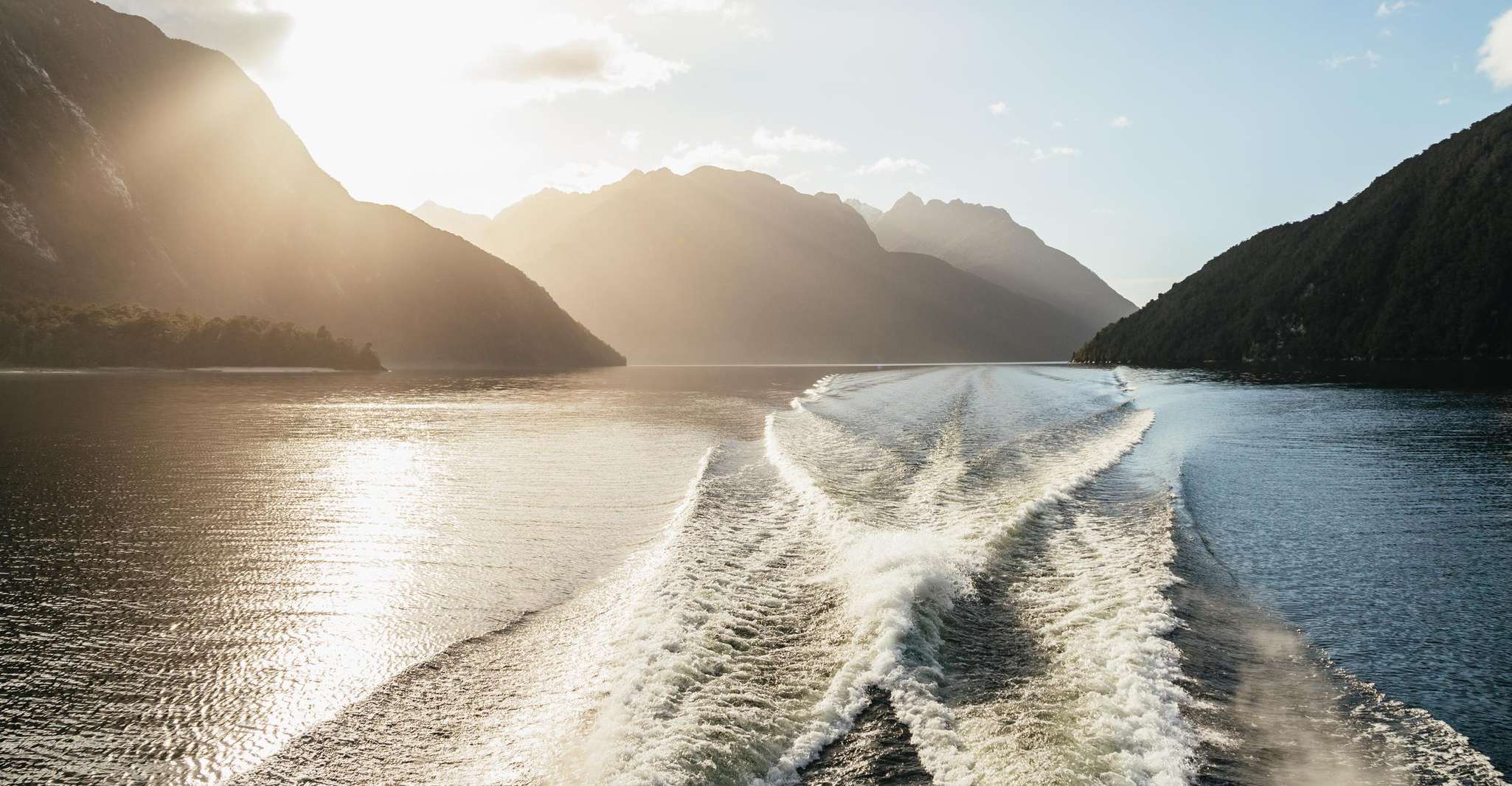 From Manapouri: Doubtful Sound Wilderness Day Trip photo 10