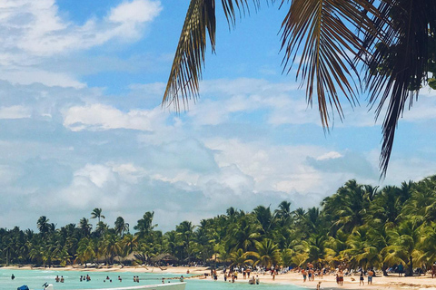 Punta Cana: Swim & Ride Horse on Caribbean Beach & Transport