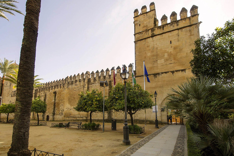 Cordova: tour della moschea, quartiere ebraico e AlcázarTour di Cordova in inglese