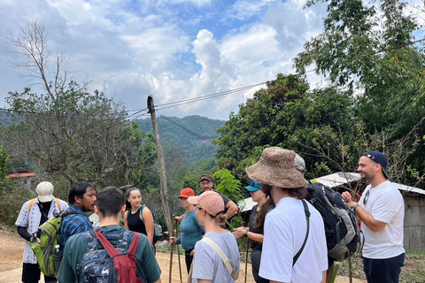 Chiang Rai: Jungle Adventure-Group Trekking & Bamboo Cooking