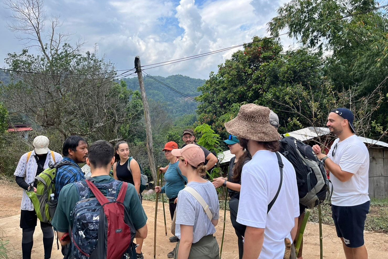 Chiang Rai: Jungle Adventure-Group Trekking & Bamboo Cooking