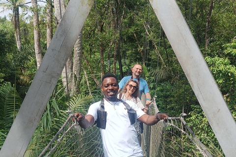 Lagos: Art, Culture, Nature, and Heritage Day Tour