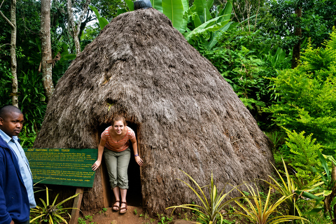 From Arusha: Marangu Village Tour with Coffee & Waterfall