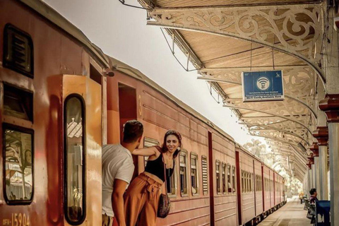 Colombo: Galle Day Tour Coastal Train Ride with Female Guide