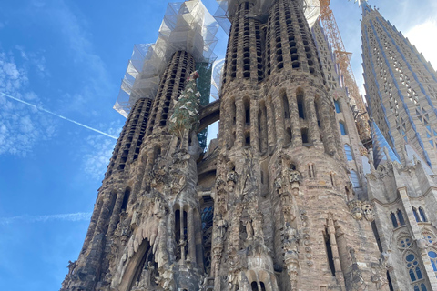 Barcelona: Sagrada Familia Guided Tour with Express Entry Tour with Express Entry