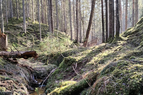 De Riga: Vila de Ligatne e Parque Nacional do Rio Gauja ...