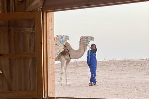 From Tunis, Hammamet, Sousse: Sahara Camping Sunset & oasis From Hammamet