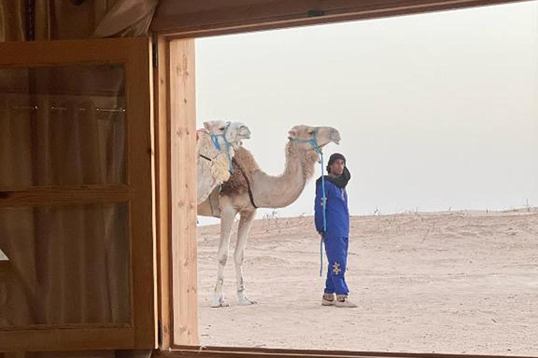 From Tunis, Hammamet, Sousse: Sahara Camping Sunset & oasis From Hammamet