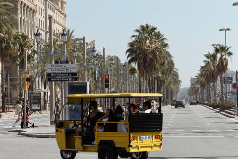 Barcelona: Electric Tuk-Tuk Tour with Local Guide
