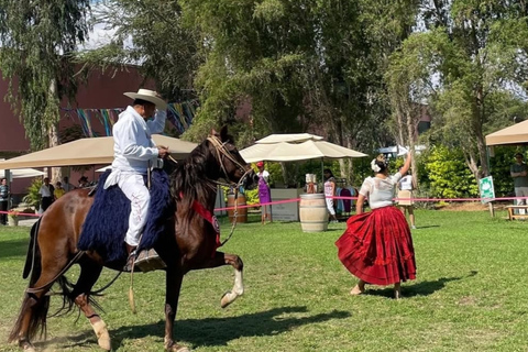 Flavors of Ica: Tradition and Modernity in a Guided Experience