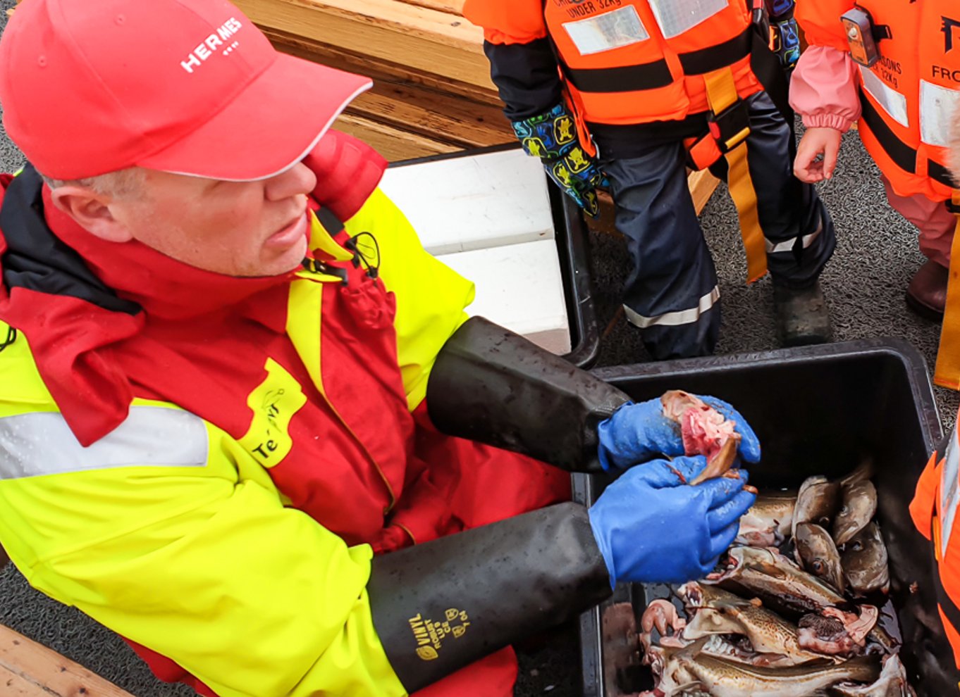 Tromsø: Fiskekrydstogt i fjorden