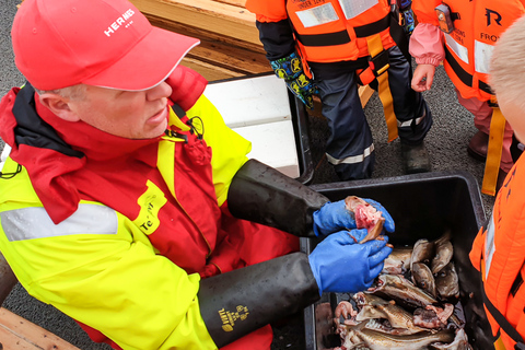 Tromsø: Fishing & Fjord Cruise