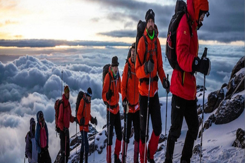 Przeżyj 4-dniową wspinaczkę na Kilimandżaro Machame Route