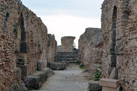 Explora a Medina Bardo Cartago e Sidi Boussaid