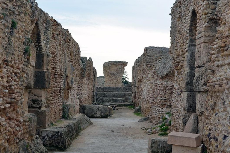 Explora a Medina Bardo Cartago e Sidi Boussaid