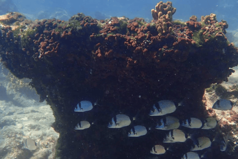 Lefkada to Lefkada 7 Day Scuba Diving Sailing Tour