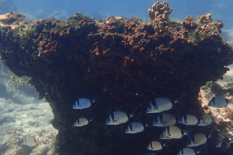 Lefkada to Lefkada 7 Day Scuba Diving Sailing Tour