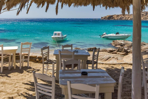 Cruzeiro guiado em Mykonos com um jipe exclusivo para passageiros: Visita obrigatória em 4h