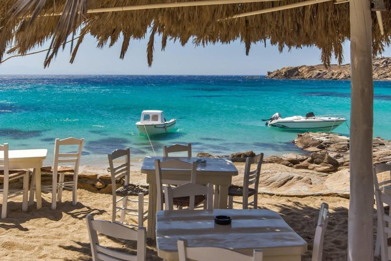 Cruzeiro guiado em Mykonos com um jipe exclusivo para passageiros: Visita obrigatória em 4h