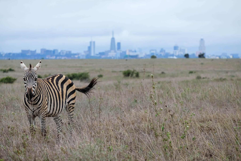 Nairobi National Game Drive and Giraffe Centre Guided Tour