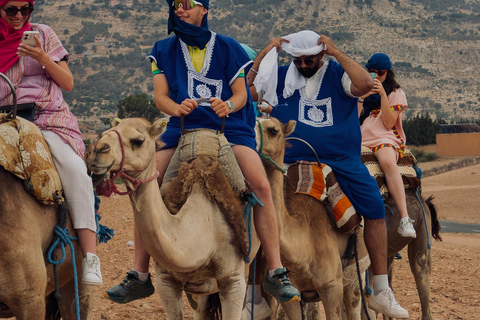 Marrakech: Agafay Camel Ride, Pool & Lunch or Dinner Show Evening Sunset Camel Ride & Pool & Dinner Show