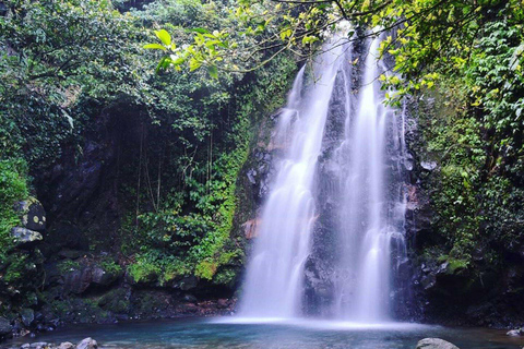 From Jakarta: Gunung Salak Waterfall & Rice Terrace