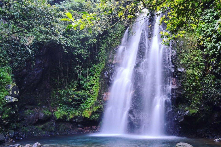 From Jakarta: Gunung Salak Waterfall & Rice Terrace