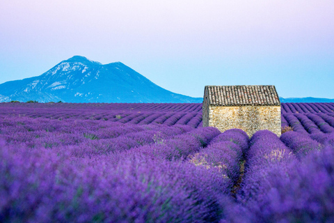 De Nice: Tour e transporte pelas Gargantas do Verdon e Campos de Lavanda