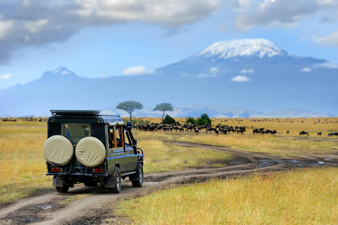 Wildlife Wonders: A 3-Day Safari to and from Arusha.