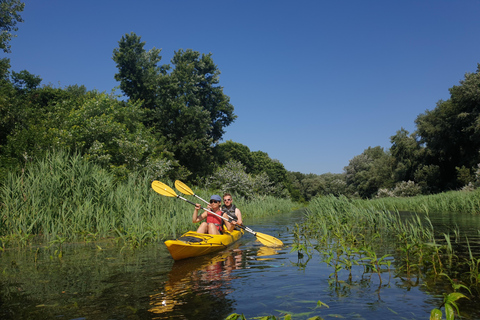 Belgrade : Aventure en kayak sur l'île de la Grande Guerre