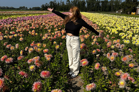 Région des bulbes : Tour cycliste des dahlias