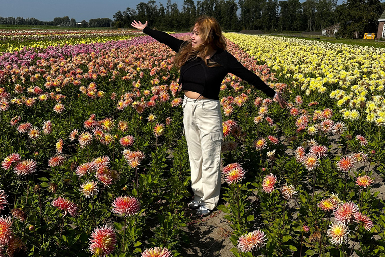 Région des bulbes : Tour cycliste des dahlias