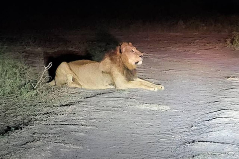 Nairobi National Park Night Safari with Armed Rangers