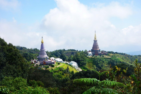 Doi Inthanon nationalpark &amp; vandring Kew Mae Pan Nature Trail