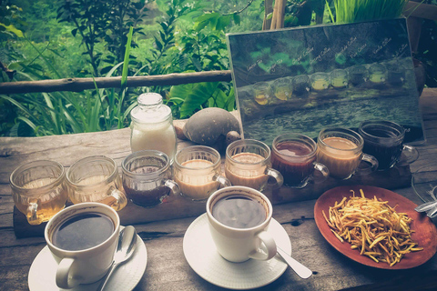 Ubud: Foresta delle scimmie, terrazzamenti di riso e tour delle cascate