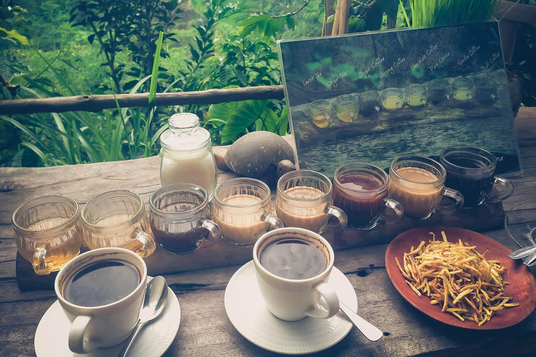 Ubud: Foresta delle scimmie, terrazzamenti di riso e tour delle cascate