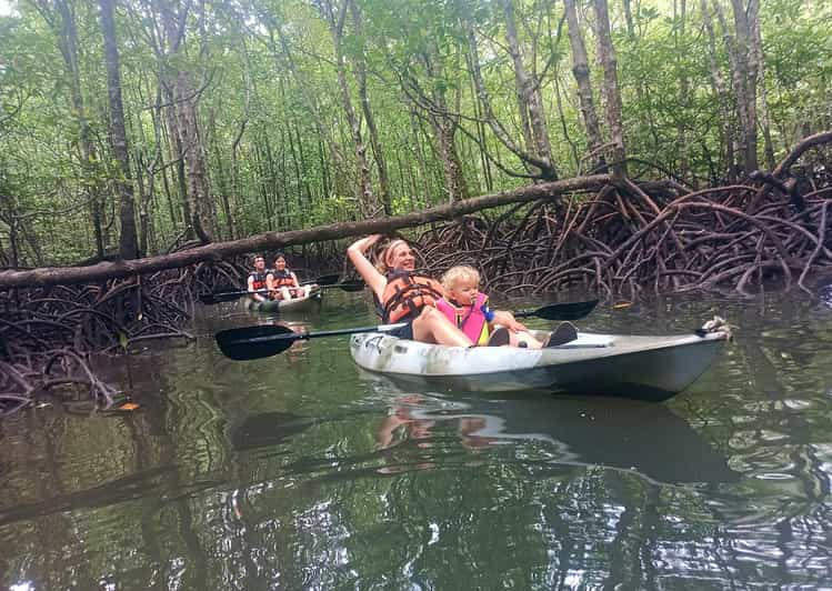 Langkawi: Kilim River Mangrove Safari Kayaking Tour | GetYourGuide