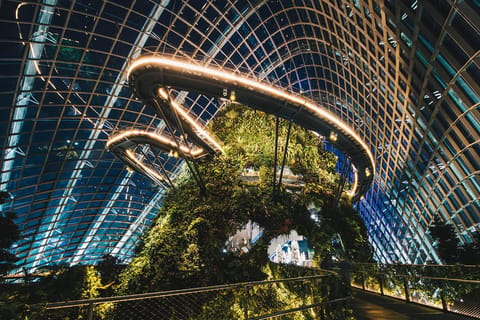 Gardens by the Bay Admission Ticket - Image 2