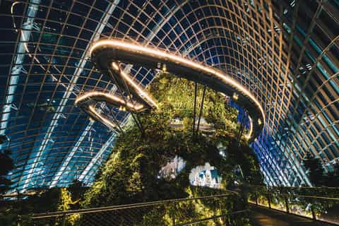 Gardens by the Bay Admission Ticket - Image 3