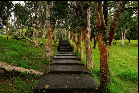 South Mauritius Discovery Tour With Guide