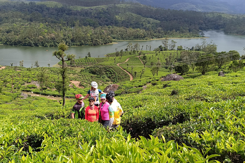 Tour in bici di 11 giorni alla scoperta delle spezie del Kerala