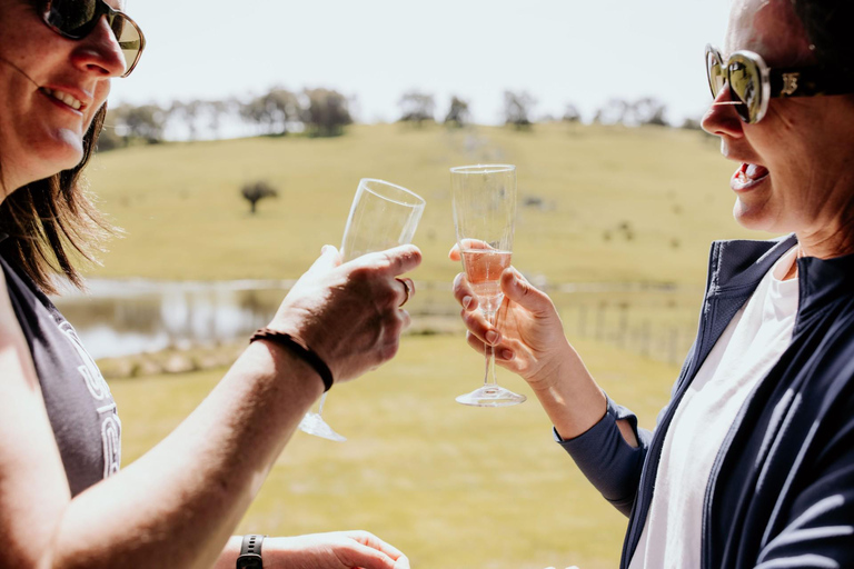 Collie: E-Bikes und Gaumenfreuden