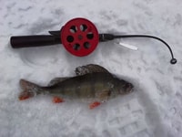Ruka, voyage de pêche sur glace - Housity