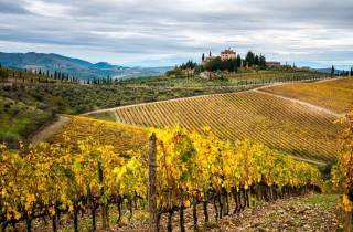 Florenz: Toskana Highlights Bustour mit Weingutbesuch